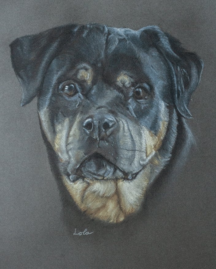 Dog Pastel Portrait - Lola