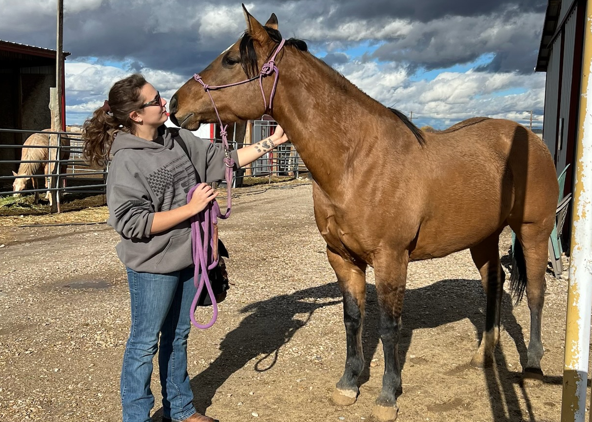 Animal Massage Therapy