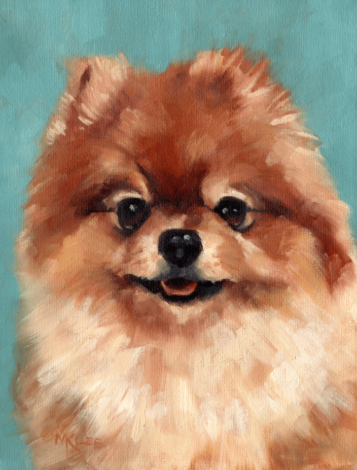 Pomeranian, 10 x 8 inches oil on stretched canvas, commissioned
