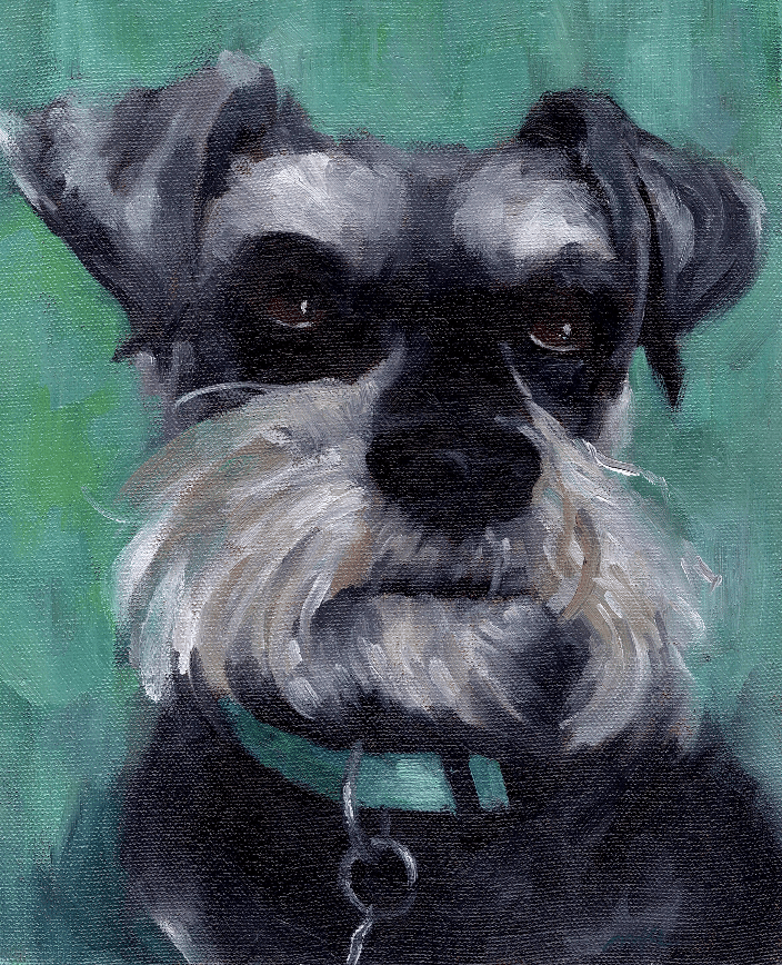 Commissioned oil painting of an Irish Terrier, 10 x 8 inches on stretched canvas