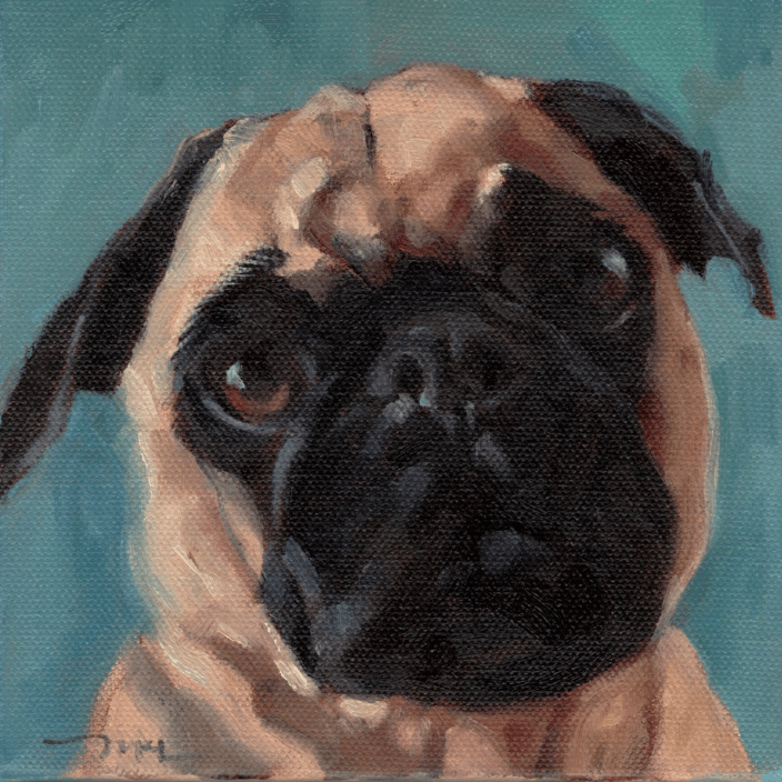 Commissioned painting of a bull dog, 8 x 8 inches oil on stretched canvas