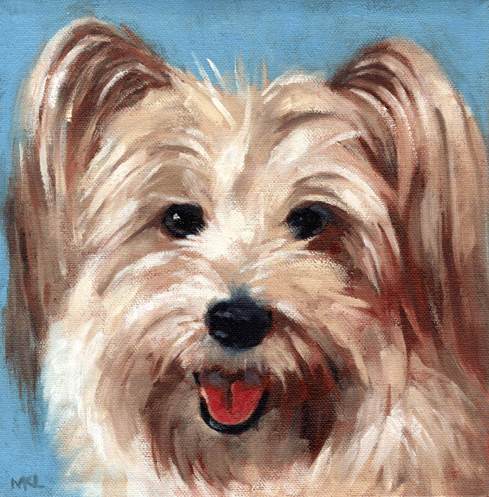 Commissioned painting of a Maltese mixed, 8 x 8 inches oil on stretched canvas