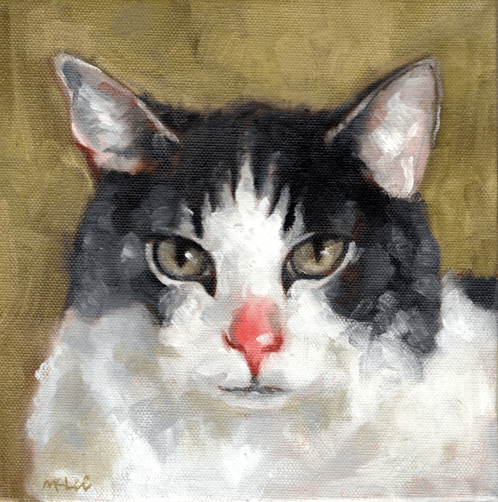 A painting of a black and white cat, 8 x 8 inches oil on stretched canvas