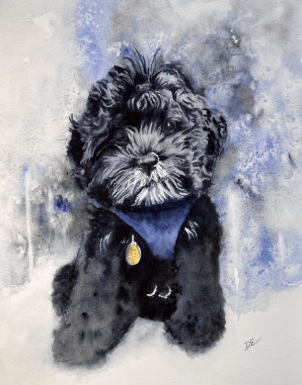 Commission portrait of Gus, a cockapoo.