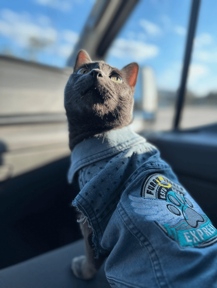 Meet our Road Captain