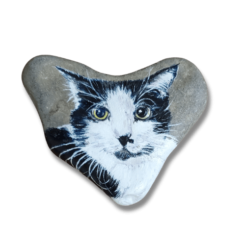 Portrait of Big Daddy Cat on Beach Stone