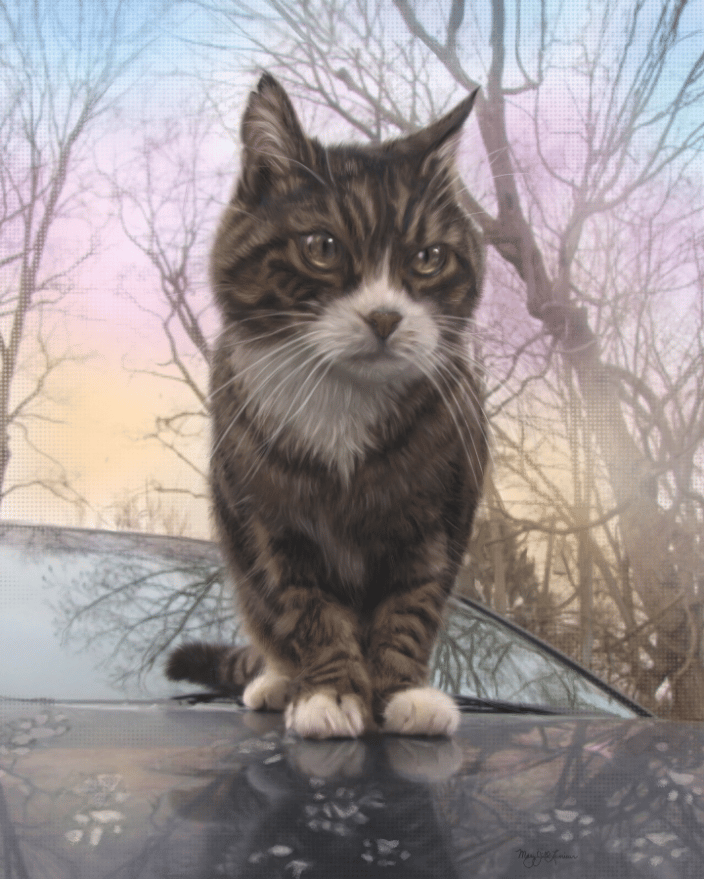 Custom Digital Portrait on Canvas