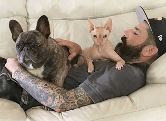 Custom Hand Painted Digital Pet Portrait