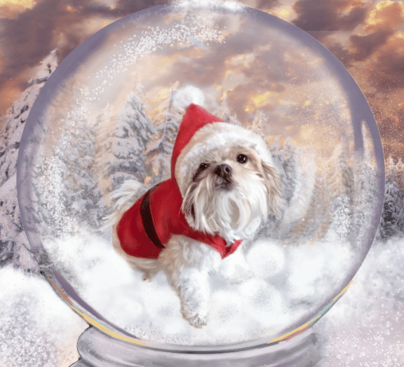 Custom Snow Globe Portrait Painting